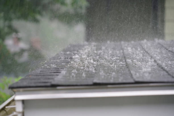 Best Asphalt Shingle Roofing  in St Louis Park, MN