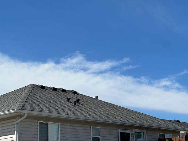 Trusted St Louis Park, MN Roofing Service Experts
